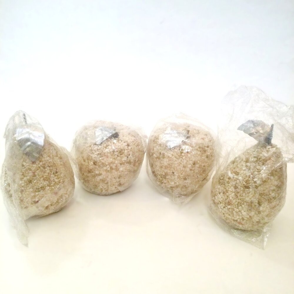 Natural Sea Shell Beaded Faux Fruit-4 Apples & Pears